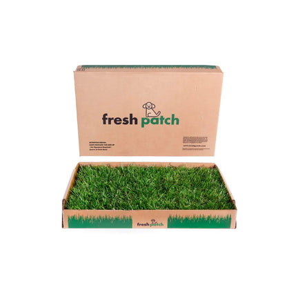 Fresh Patch Genuine Grass for Rabbits