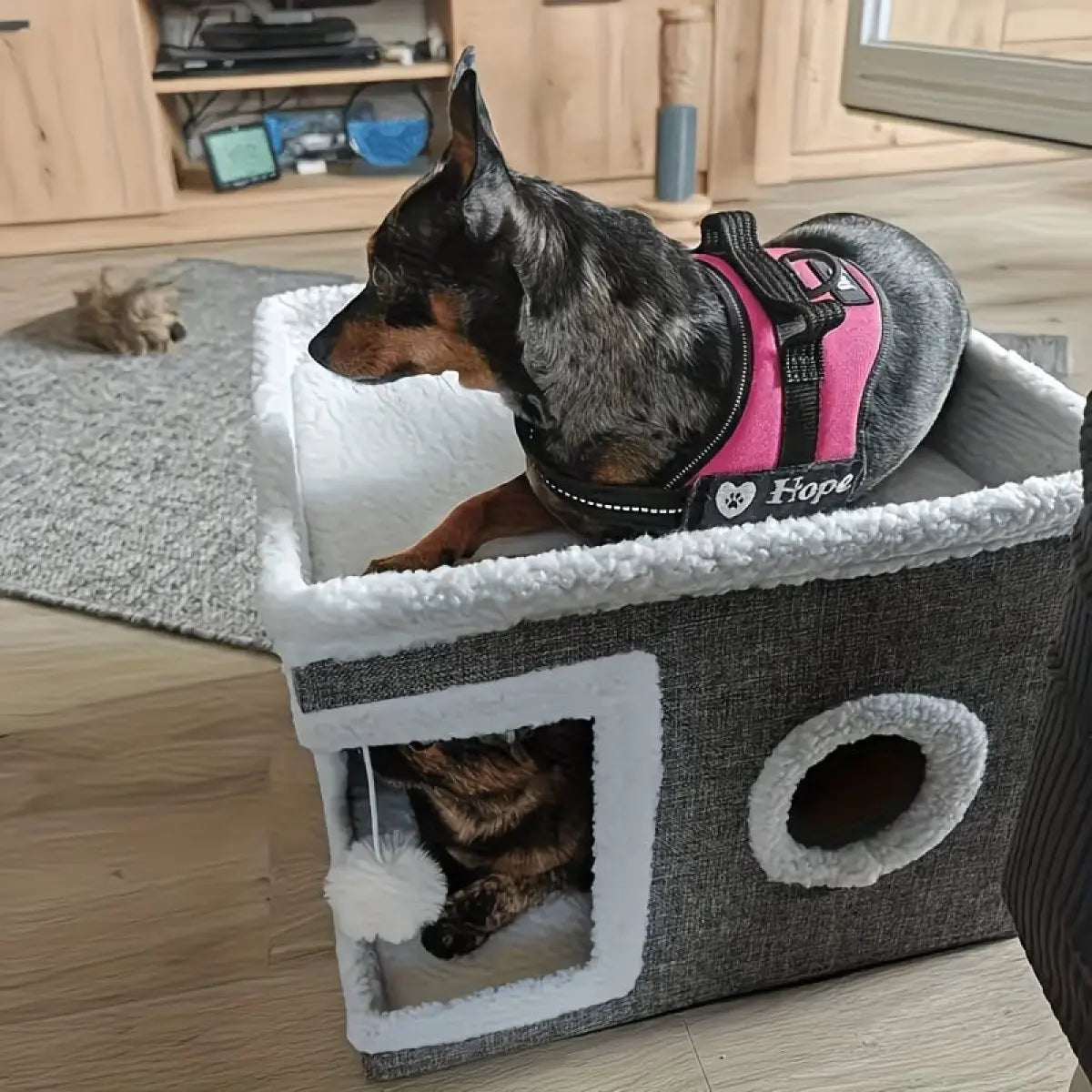 Indoor Cat Bed with Spacious Entry