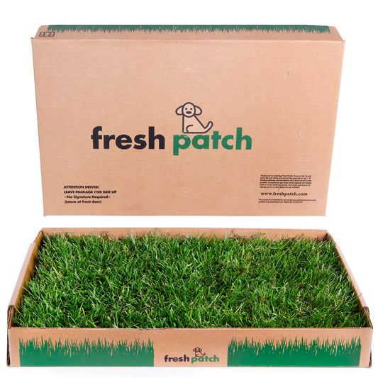 Fresh Patch Genuine Grass for Rabbits