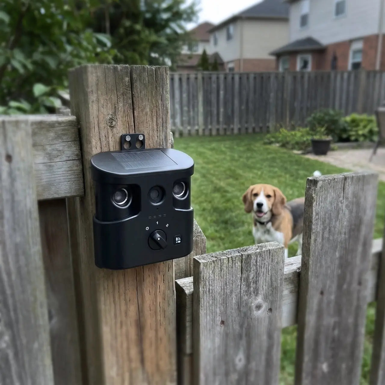 180° Solar-Powered Ultrasonic Dog Bark Control Device