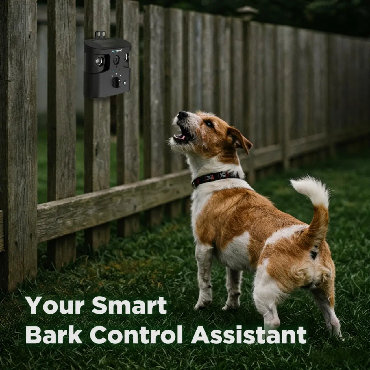 180° Solar-Powered Ultrasonic Dog Bark Control Device