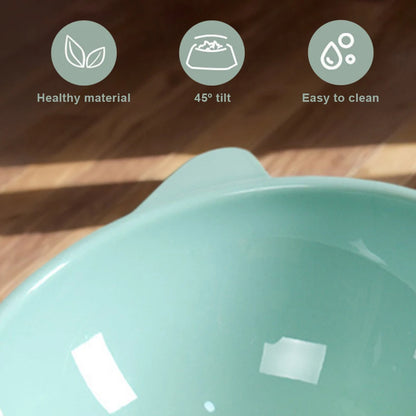 Elevated Ergonomic Cat Food Bowl